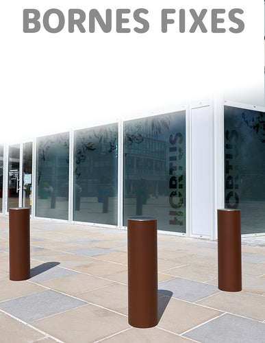 Bornes anti stationnement