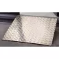 Rampe de passage aluminium 200 kg