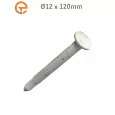 Clou de fixation spécial enrobé 12 x 120 mm