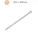 Spike de fixation spécial enrobé 12 x 300 mm